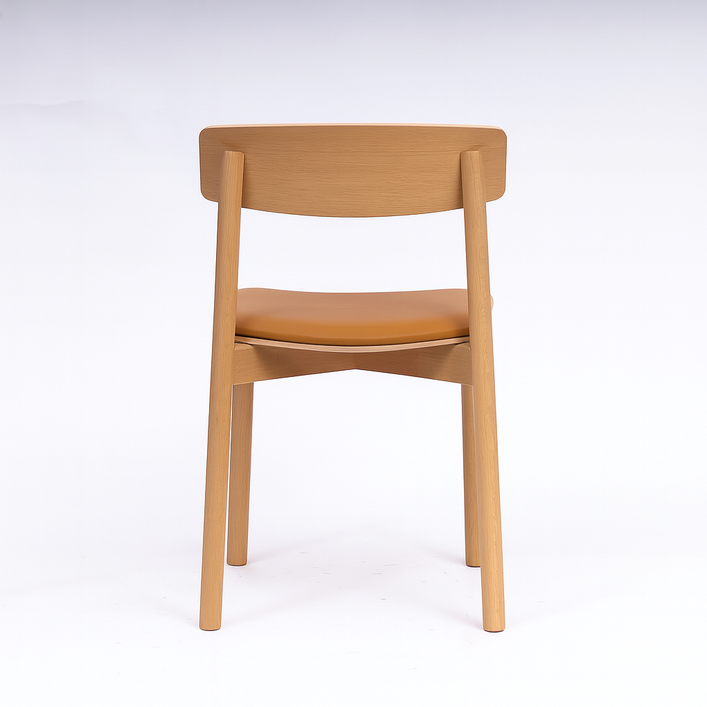 Salina Dining Chair - Natural/Tan - Set of 2
